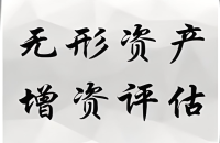 专利评估、增资：流程