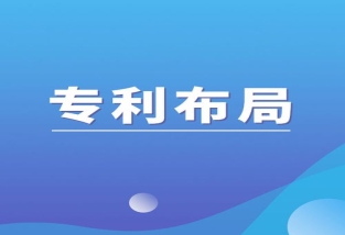 什么是专利组合与专利布局？