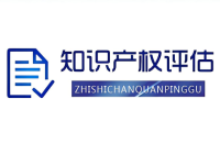 评估知识产权的价值和作用