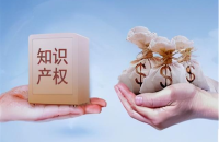 专利实缴：企业成长的关键步骤