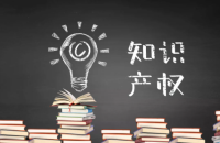 专利实缴出资：促进科技创新的关键