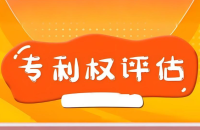 专利权出资、评估!