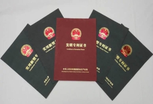 购买的专利权