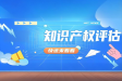 专利评估的关键考量：从基础到纠纷的全面解析