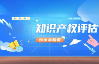 专利评估的关键考量：从基础到纠纷的全面解析